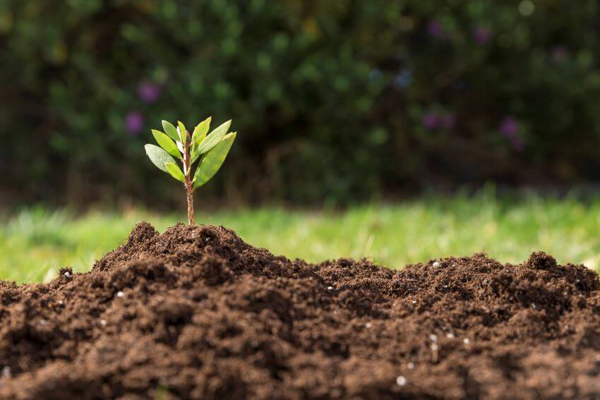 Cómo mantener un jardín en buen estado todo el año