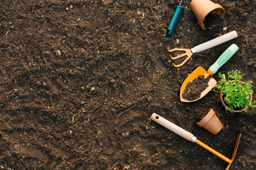 Herramientas de jardinería básicas